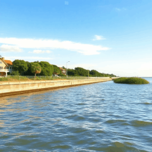 Calm coastal property with a modern seawall, gentle waves, lush mangroves, and a bright blue sky in a realistic waterfront scene.
