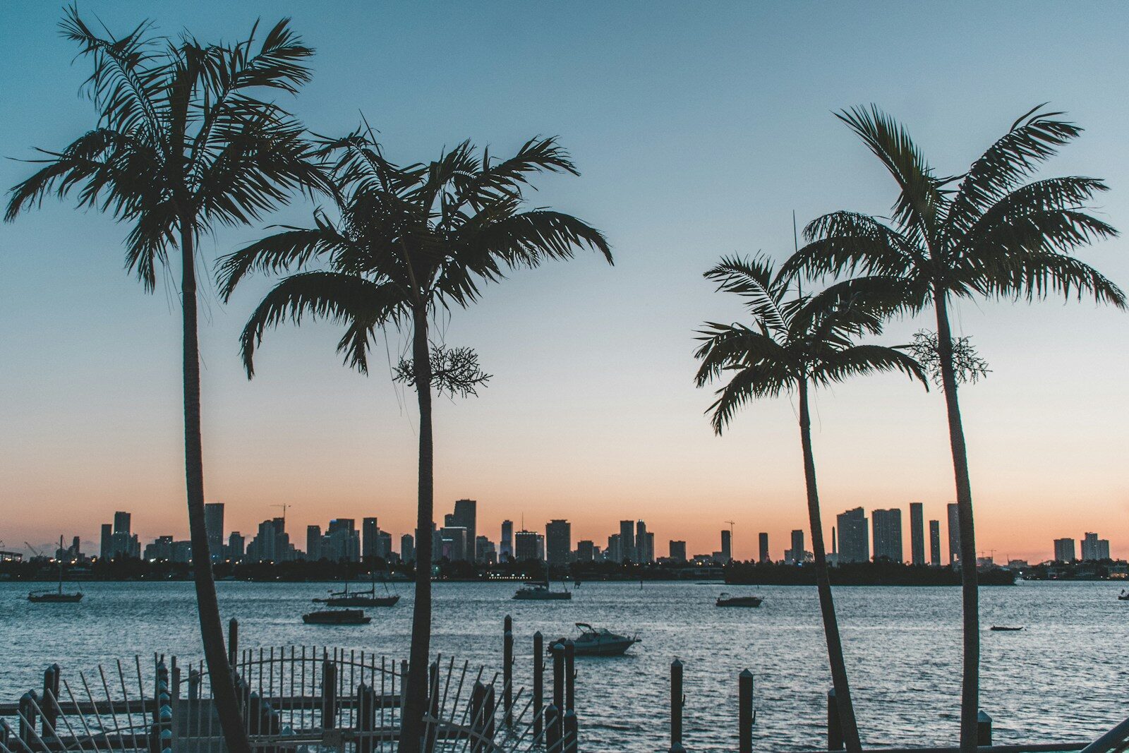 Luxury Lifestyle Homeowners Want - 1 silhouette of palm trees near body of water during sunset